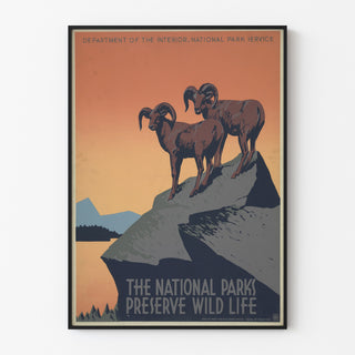 Manifesto vintage National Parks Preserve Wild Life, presentato in una cornice sottile su una parete chiara.