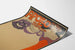 Poster vintage Teatro Apollo decorazione murale artistica