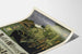 Poster vintage Ault & Wiborg - Inchiostri di stampa e litografia