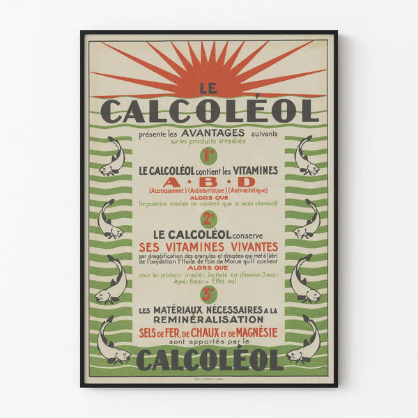 calcoleol-3