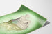 Poster decorativo da parete 'Calma' con scultura femminile e riflesso acquatico