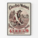 Poster vintage Chase Bros e Woodward Graines Fiori e Verdure