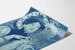 Poster decorativo art nouveau donna e gallo blu