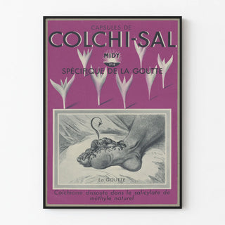 colchi-sal