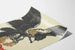 Poster decorativo Aquila imperiale con corona tedesca