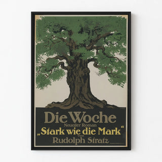 die-woche-mit-neuestem-roman-stark-wie-die-mark-von-rudolph-stratz