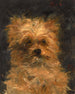 Tête du chien Bob - Édouard Manet — vista dell’opera