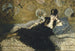 Donna con ventagli - Édouard Manet — vista dell’opera