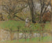 L'étang devant le château - Édouard Vuillard — vista dell’opera