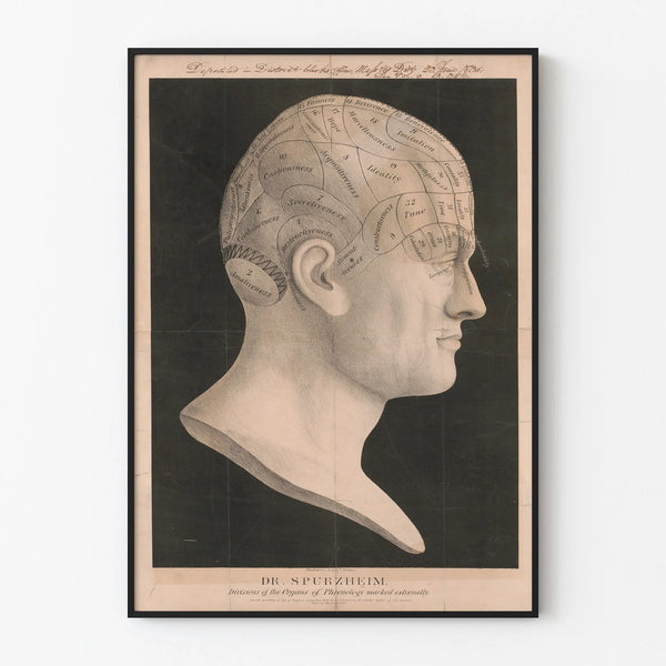 dr-spurzheim-divisions-of-the-organs-of-phrenology-marked-externally