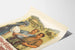 Poster dell'evento Emmentalisches Schwingfest Heimiswil 1951