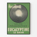 Poster vintage medico Eucalyptine Le Brun