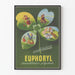 Poster vintage Euphoryl desensibilizzazione polivalente