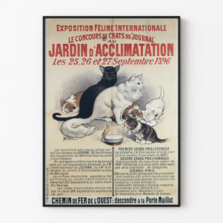 exposition-feline-internationale-le-concours-de-chats-du-journal-au-jardin-dacclimatation