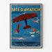 Poster vintage Festa dell'Aviazione con acrobazie e battesimi dell'aria