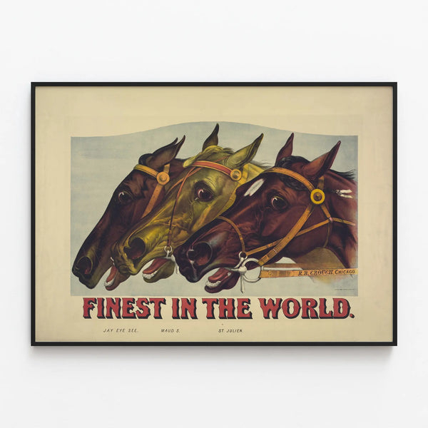 finest-in-the-world