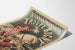 Poster vintage Folies Bergère Compagnia Bugny con animali da circo