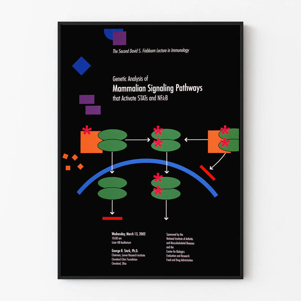 genetic-analysis-of-mammalian-signaling-pathways-that-activate-stats-and-nfkb