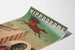 Poster Ippodromo Meraviglia Cavallo Saltatore e Uomo Orso
