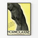 Poster vintage Hormolaxine - Riabilitazione intestinale e libertà della pancia