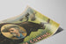 Poster vintage I Am Coming Colonnello W.F. Cody — vista dell’opera