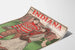 Poster vintage Indiana Normal 1902 – Decorazione murale retrò