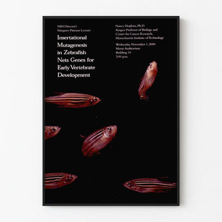 insertational-mutagenesis-in-zebrafish-nets-genes-for-early-vertebrate-development