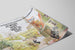 Poster Kinderboekenweek 1979 - Decorazione Murale Infantile 'Non Sai Cosa Vedi' — vista dell’opera
