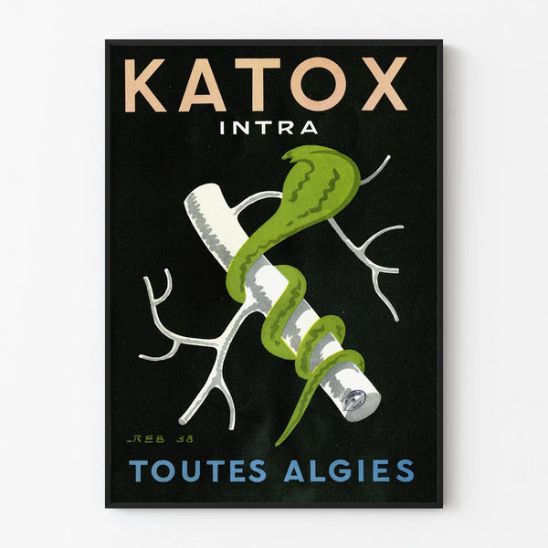 Poster pubblicitario vintage Katox Alghe Intra