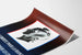 Poster patriottico francese Libertà per la Francia