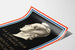 Poster decorativo murale La Liberté per la Francia