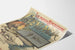 Poster vintage spedizione Groenland Nordenskjöld