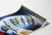 Poster vintage medicinale dermatologico Laccodermes