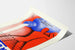 Poster pubblicitario vintage Latte di magnesio Lactoma