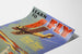 Poster vintage di apprendimento della pilotaggio Curtiss-Wright