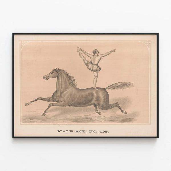 male-act-no-105