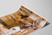 Poster decorativo Masters International Peace Corps — vista dell’opera