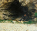 Il vagabondo - Émile Friant — vista dell’opera
