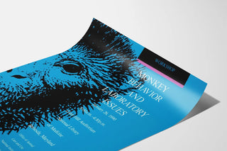 monkey-behavior-and-laboratory-issues