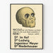Poster politico tedesco vintage caricatura teschio