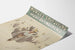 Poster vintage di sci Norges Skiforbund Elverum 1920