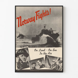 norway-fights-on-land-on-sea-in-the-air