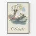 Poster vintage Obesità illustrazione canottaggio