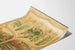 Poster educativa vintage su piante e animali della fattoria