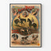 Poster vintage Frères Rasso Gladiatori Moderni