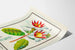 Poster botanico vintage fiore Strophanthus gratus Ouabaïne Arnaud