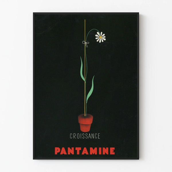 pantamine-2