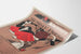 Poster vintage Philadelphia Sunday Press 1896