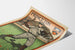 Poster vintage Princeton giocatore di baseball