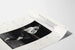 Poster del Movimento Rand Whipple in Bianco e Nero